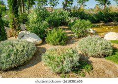 <b>园林景观工程设计</b>