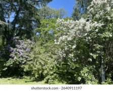 景观配套设施安装